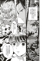 「後宮の夜叉姫」より。