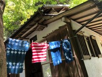 2019年の「鎌倉オチビフェスタ in たからの庭」の様子。