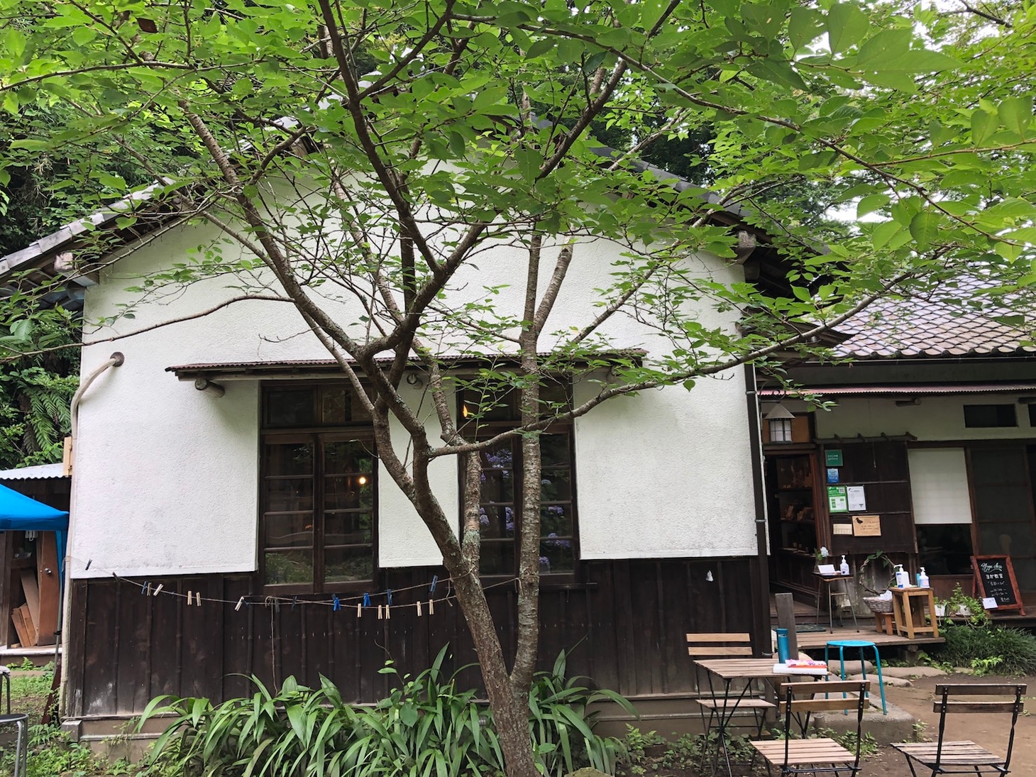 たからの庭