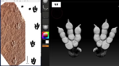 ノビタイの足跡化石写真とイラスト (c)Lida Xing