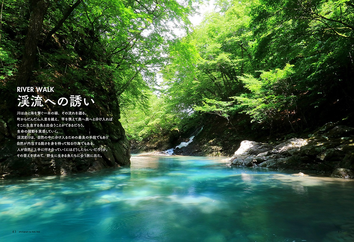 Coyote No. 74より。