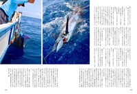 Coyote No. 74より。