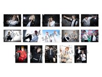 「ランダムブロマイド（B）」