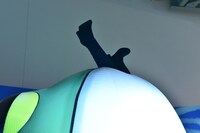 「異世界みゅーじあむ」より、ジャイアントトードの口元。