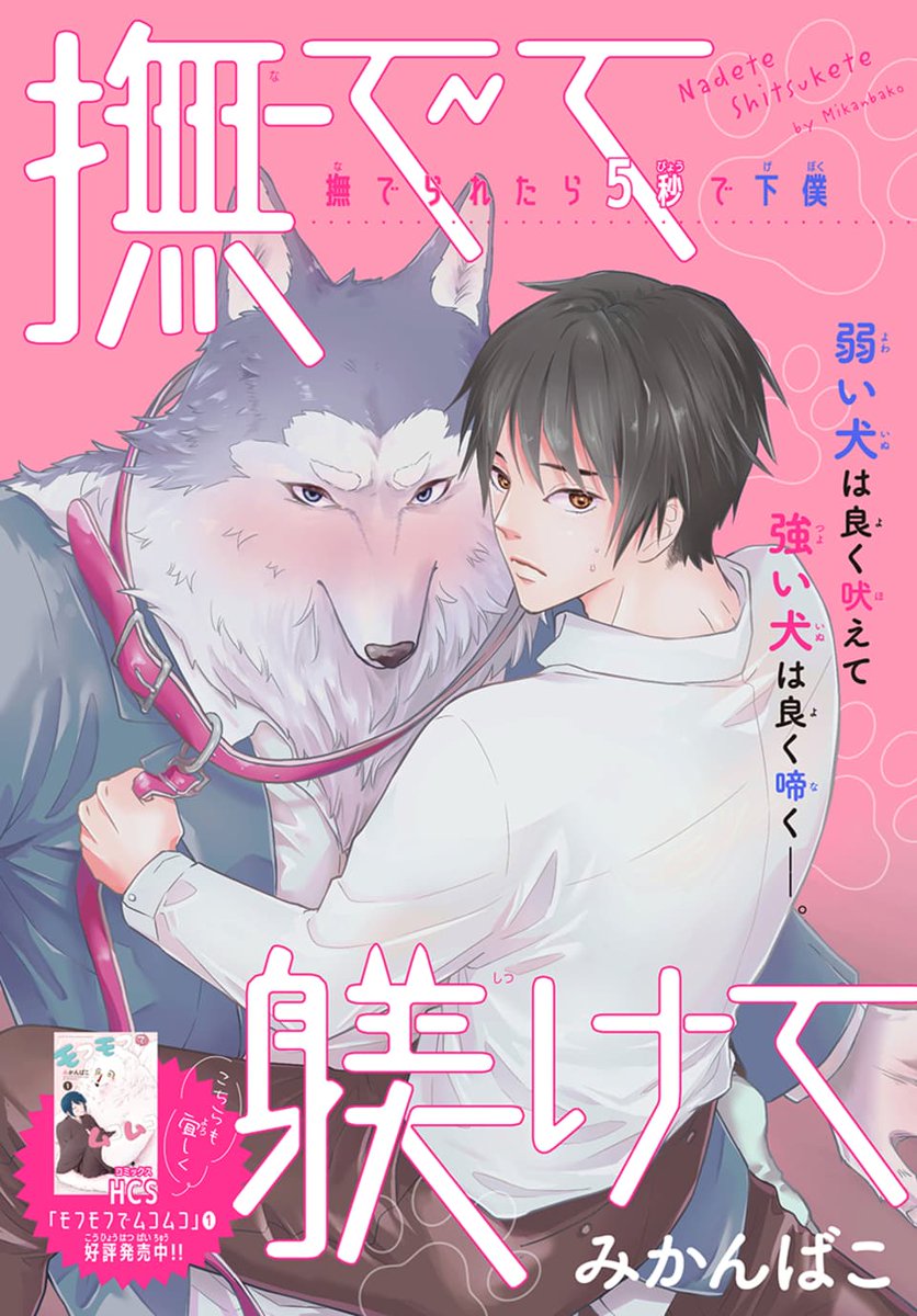 みかんばこ「撫でて躾けて」の扉ページ。(c)みかんばこ／白泉社