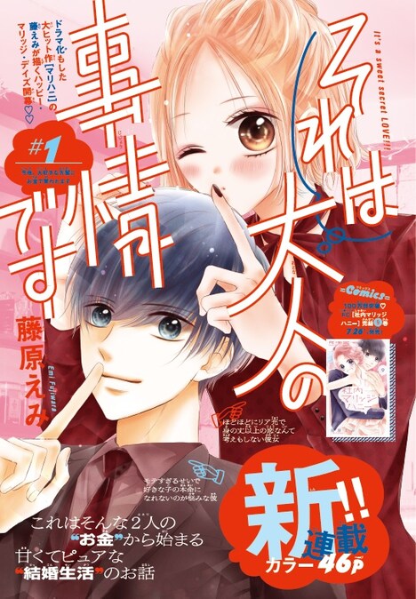 「それは大人の事情です」扉ページ