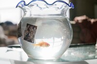 映画「東京リベンジャーズ」場面写真