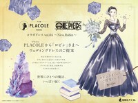 ウェディングドレス姿のロビン。
