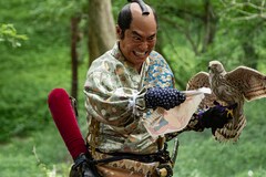 「武士スタント逢坂くん！」鶯谷寛喜役は高嶋政宏、春画を描く逢坂くんに処刑を命じる
