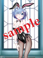 付録の「Re:ゼロから始める異世界生活」ぽよよん♥ろっく描き下ろしB2ポスター。