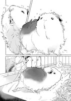 「GUINEA PIG ROOM TOUR」より。