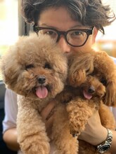 坂本眞一とブラン・ドレ。