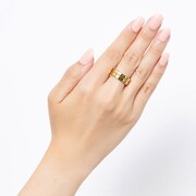 「魔入りました！入間くん 悪食の指輪」着用イメージ