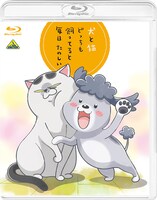 アニメ「犬と猫どっちも飼ってると毎日たのしい」Blu-rayジャケット