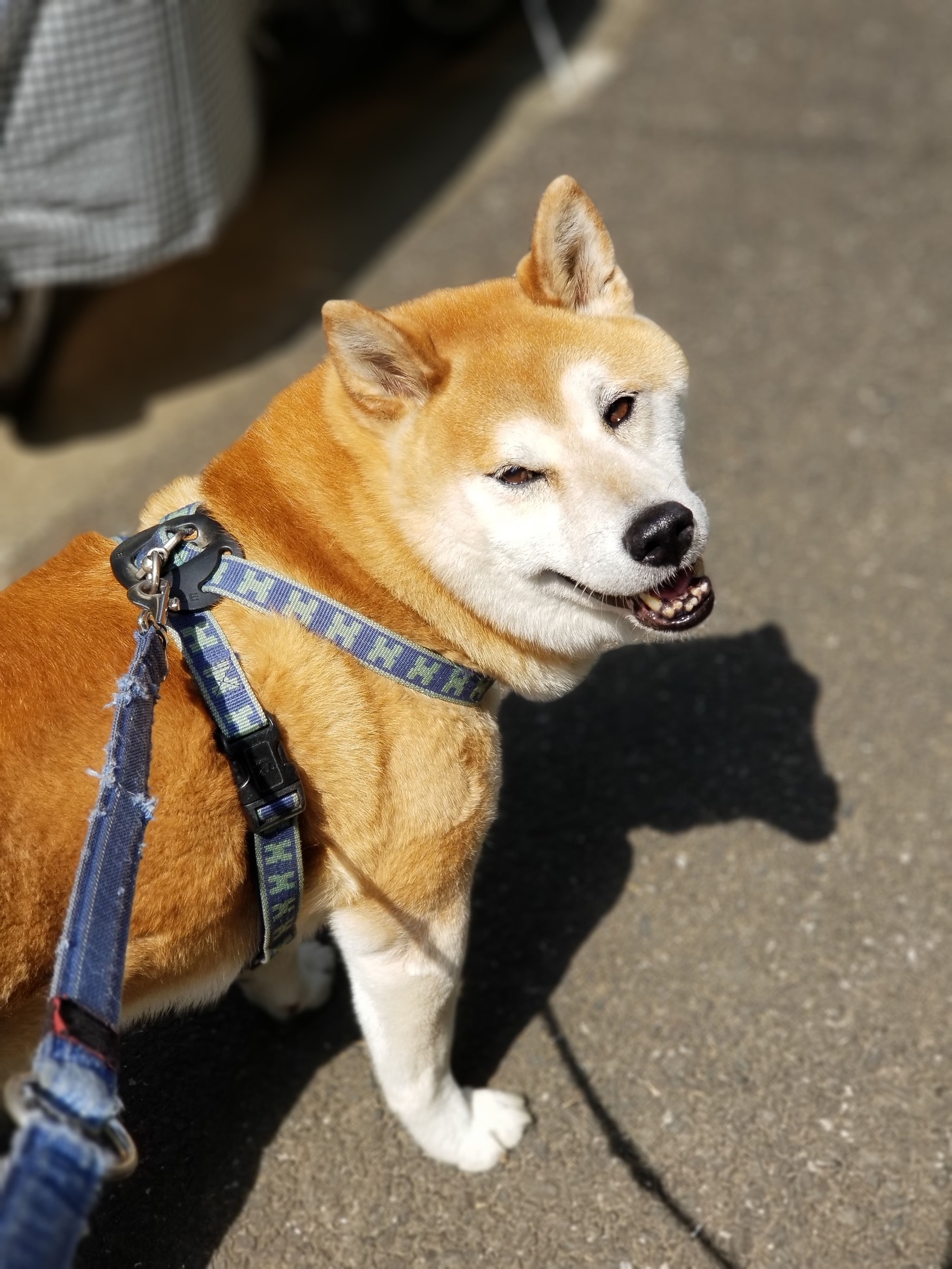 ジロウ