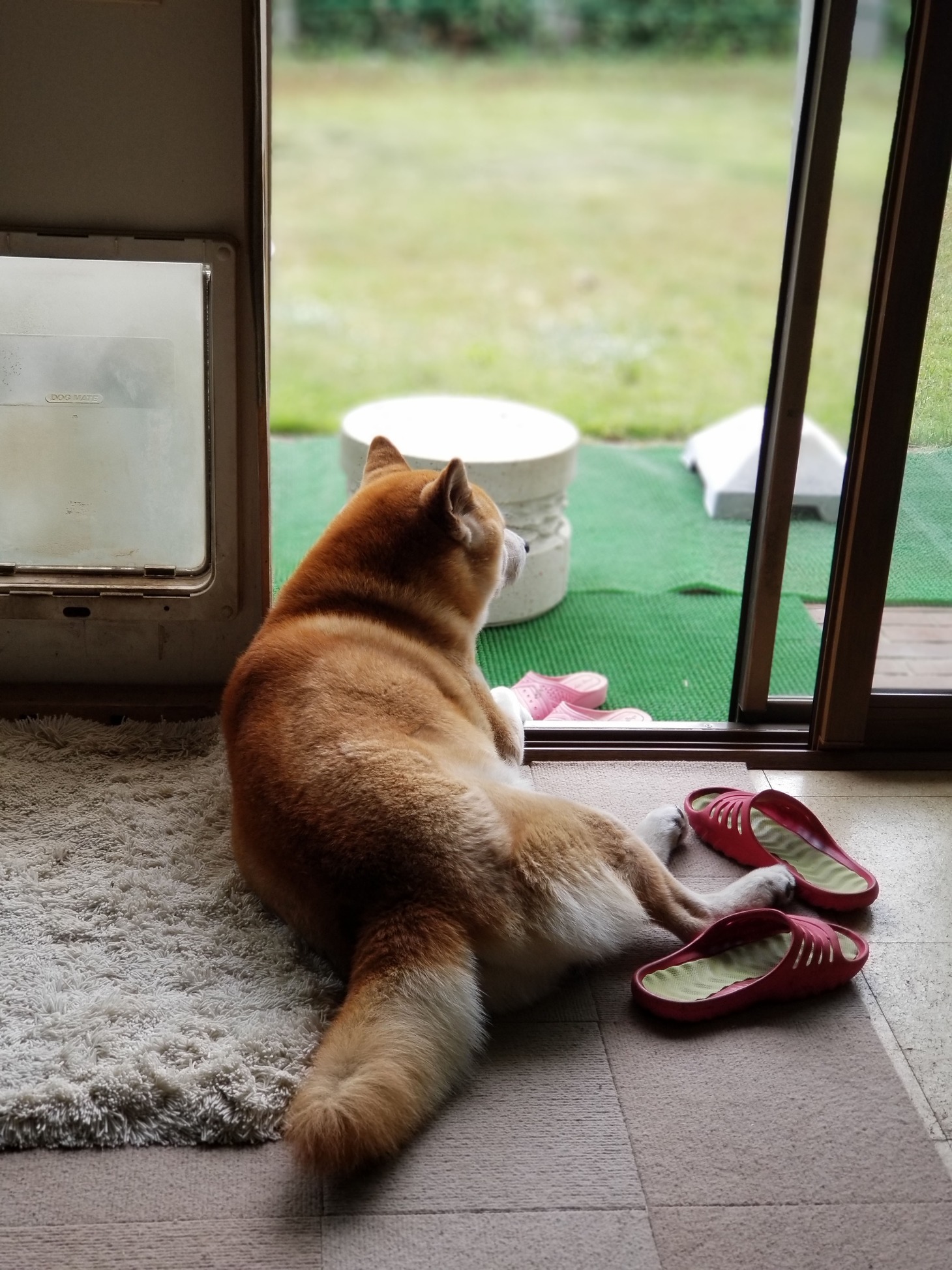 ジロウ