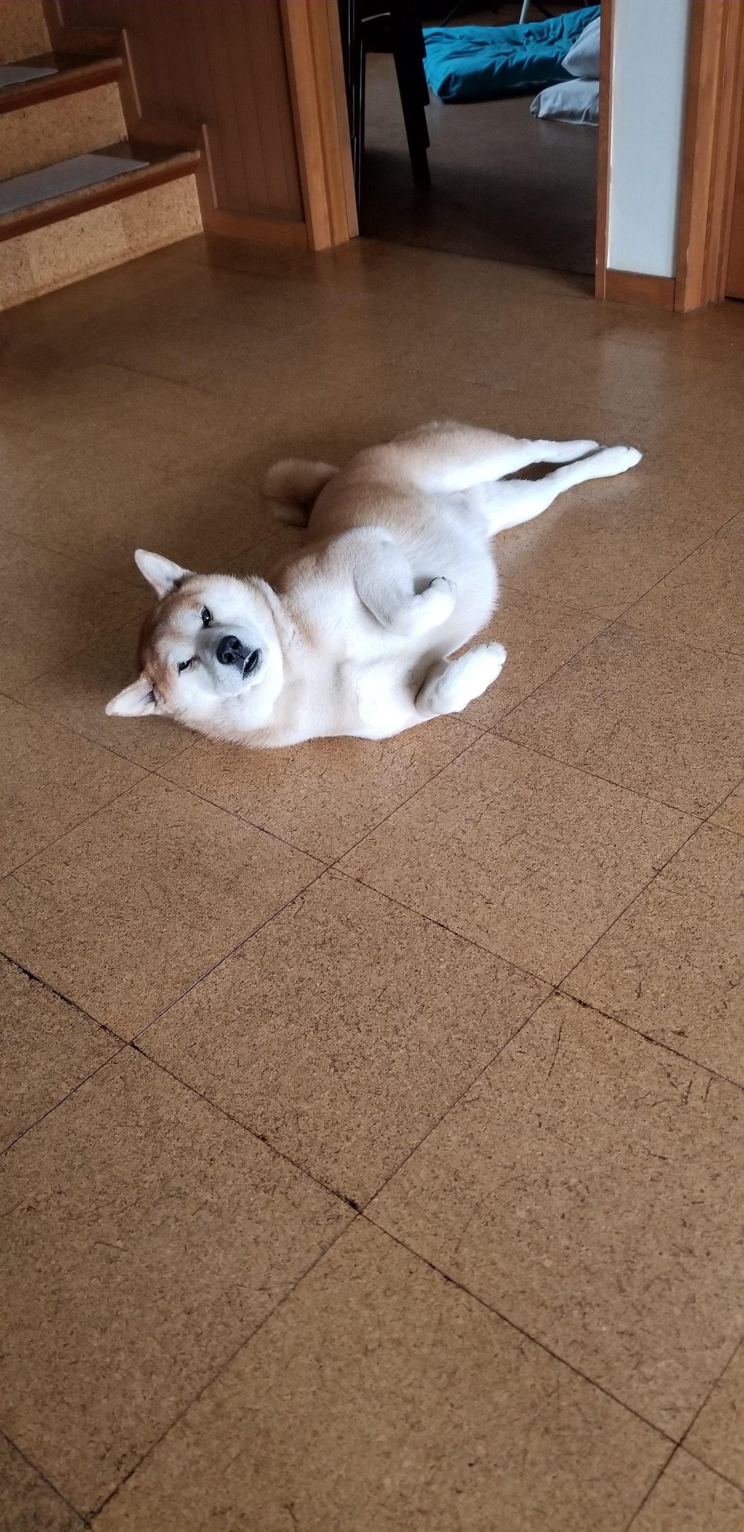 ジロウ