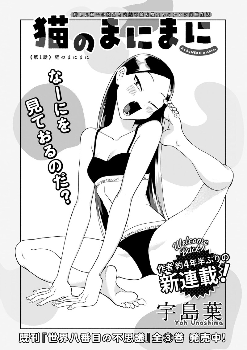 「猫のまにまに」