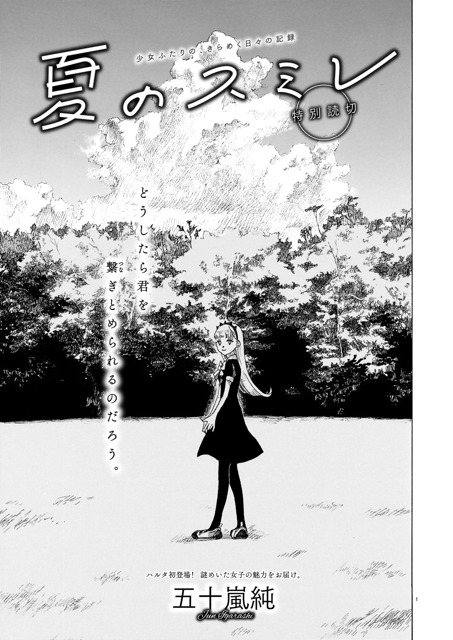 「夏のスミレ」