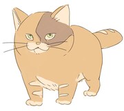 ぽんぱんのイラスト。