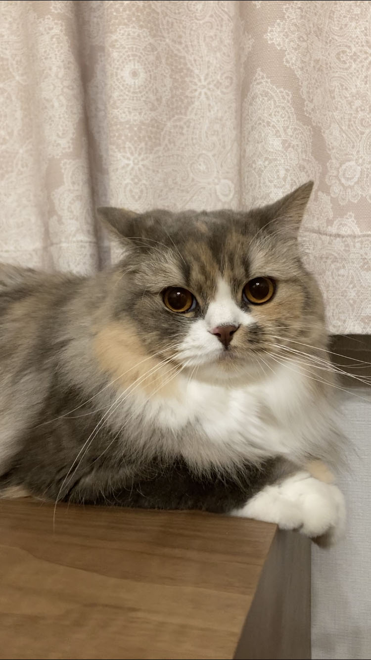 エメ
