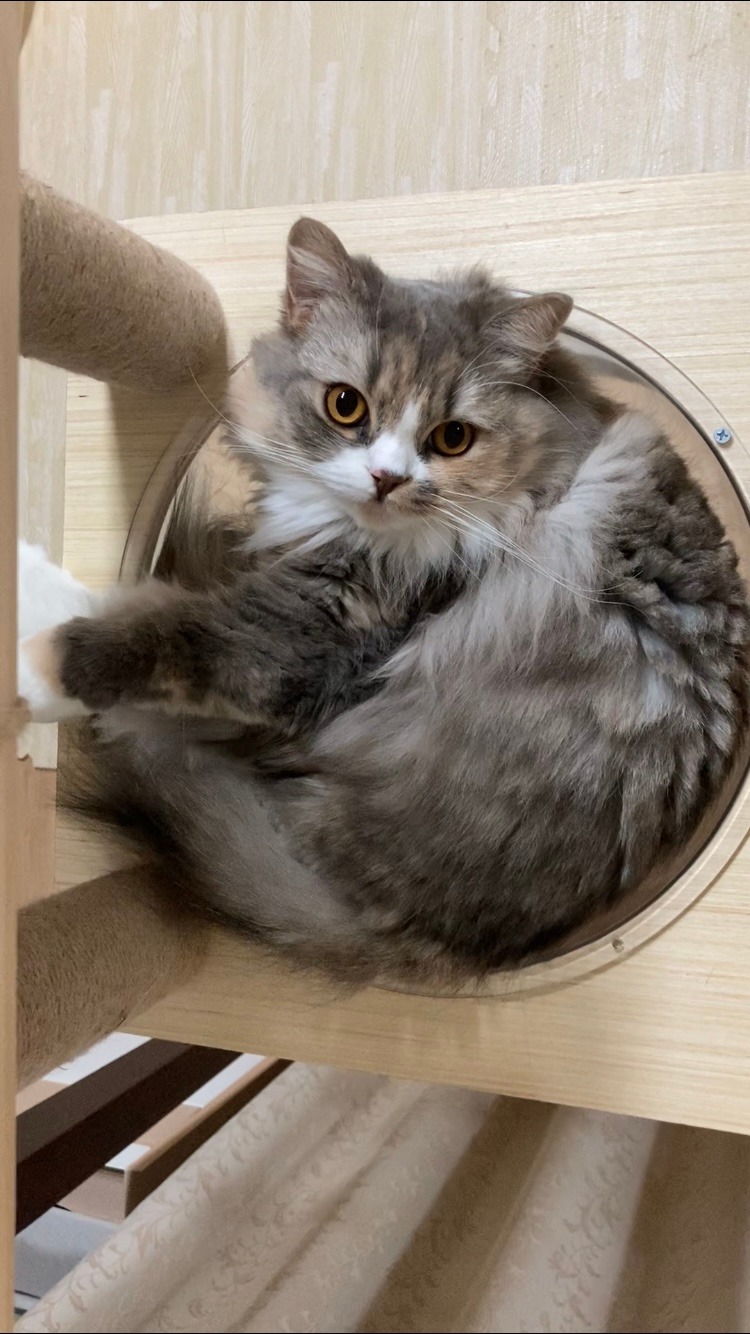 エメ