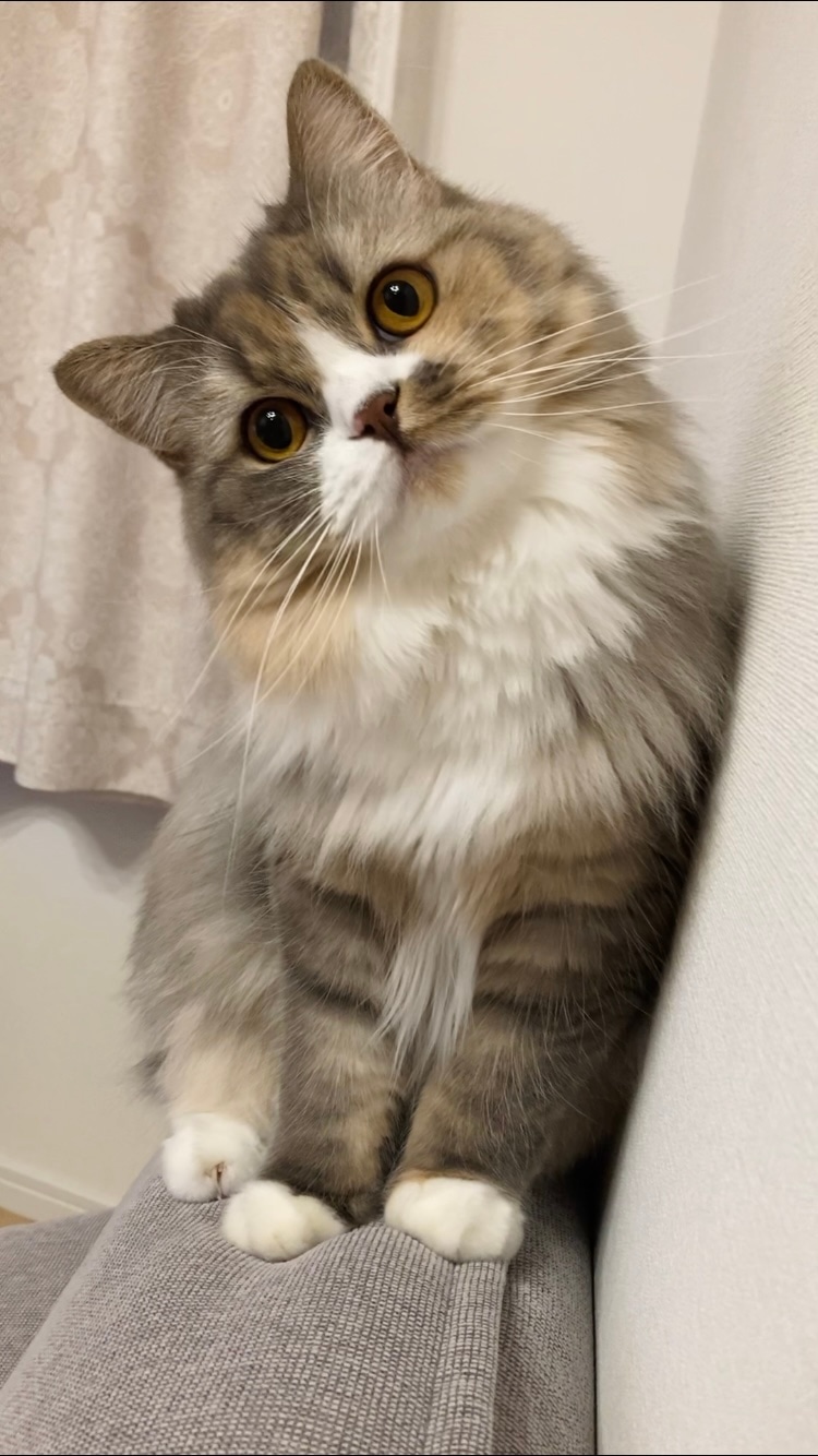 エメ