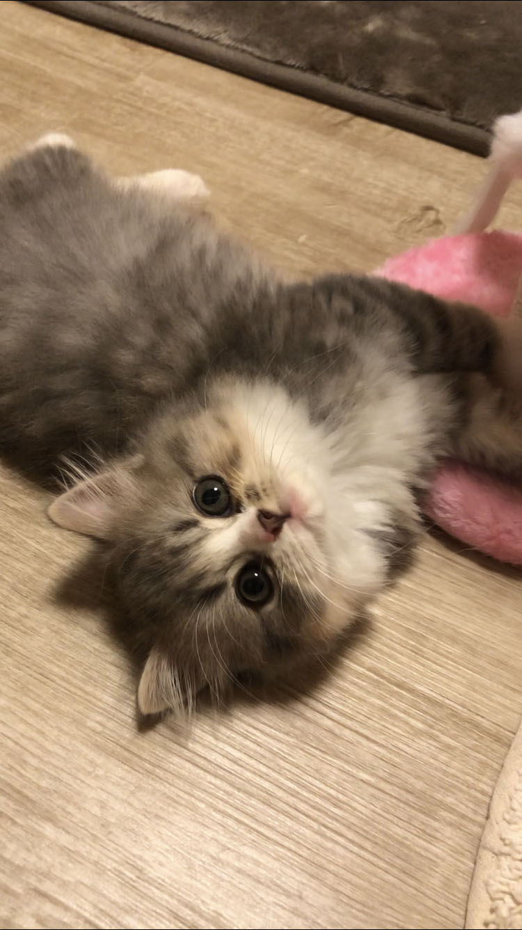小さい頃のエメ。