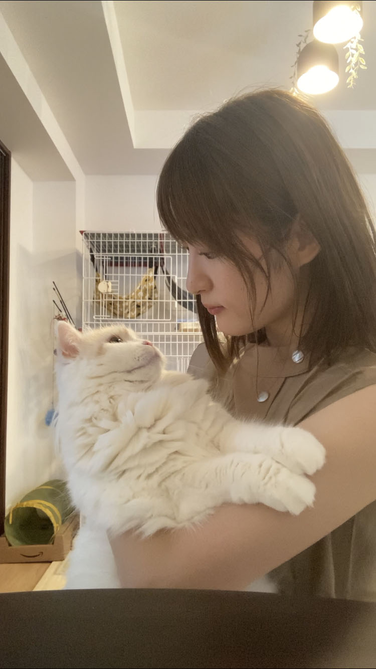 ノエルと小松未可子。
