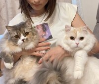 エメ（左）とノエル（右）。