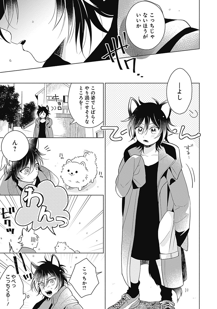 「かわいいワンコにご注意ください」より。