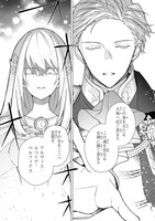 「ルベリア王国物語～従弟の尻拭いをさせられる羽目になった～」より。