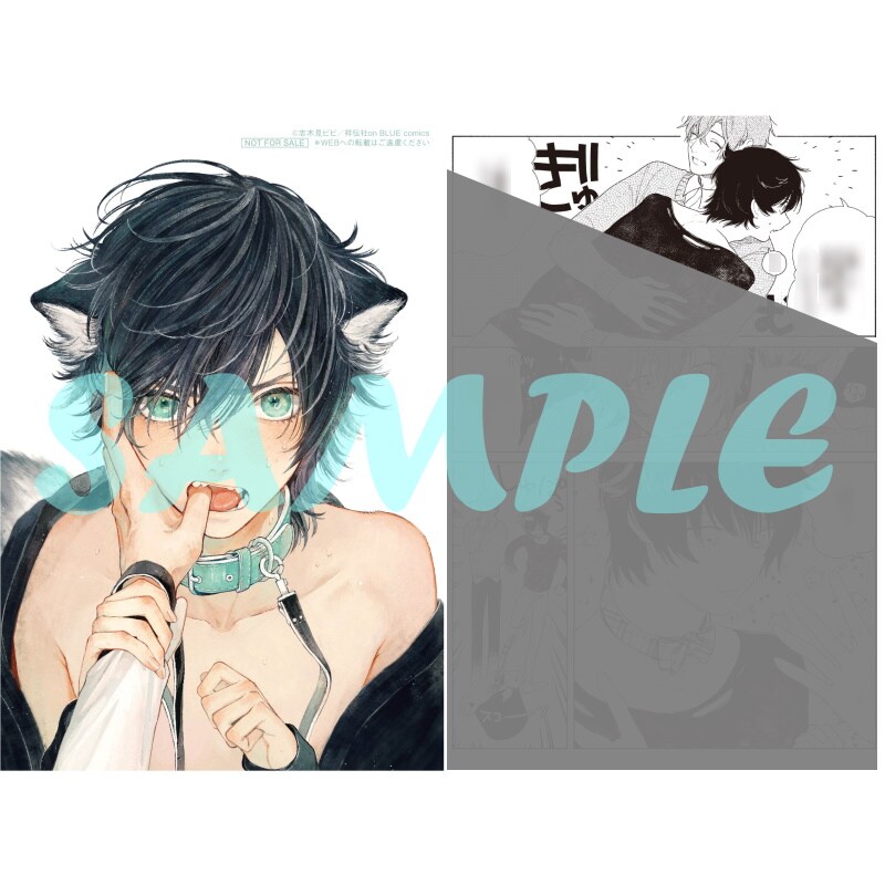 on BLUE10周年フェアが本日から、購入特典に描き下ろし入り