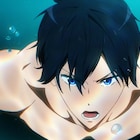 「劇場版 Free!FS」前編予告で遙・凛・郁弥が思いを語る、後輩たちの姿や桜の木も