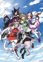 限定版に付属する「耐水・耐久ユポ紙特大ポスター」。