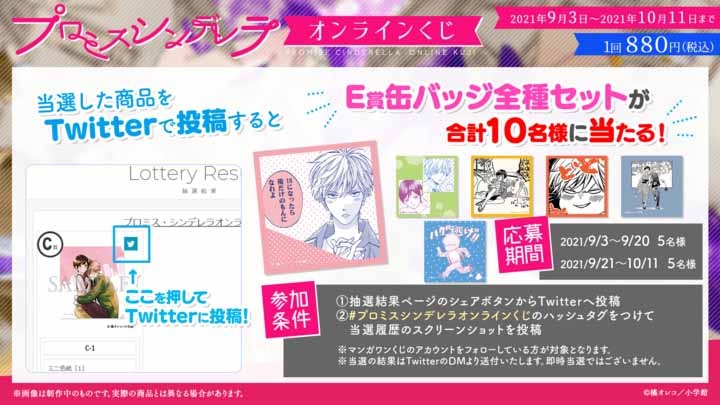 Twitterキャンペーンの詳細。