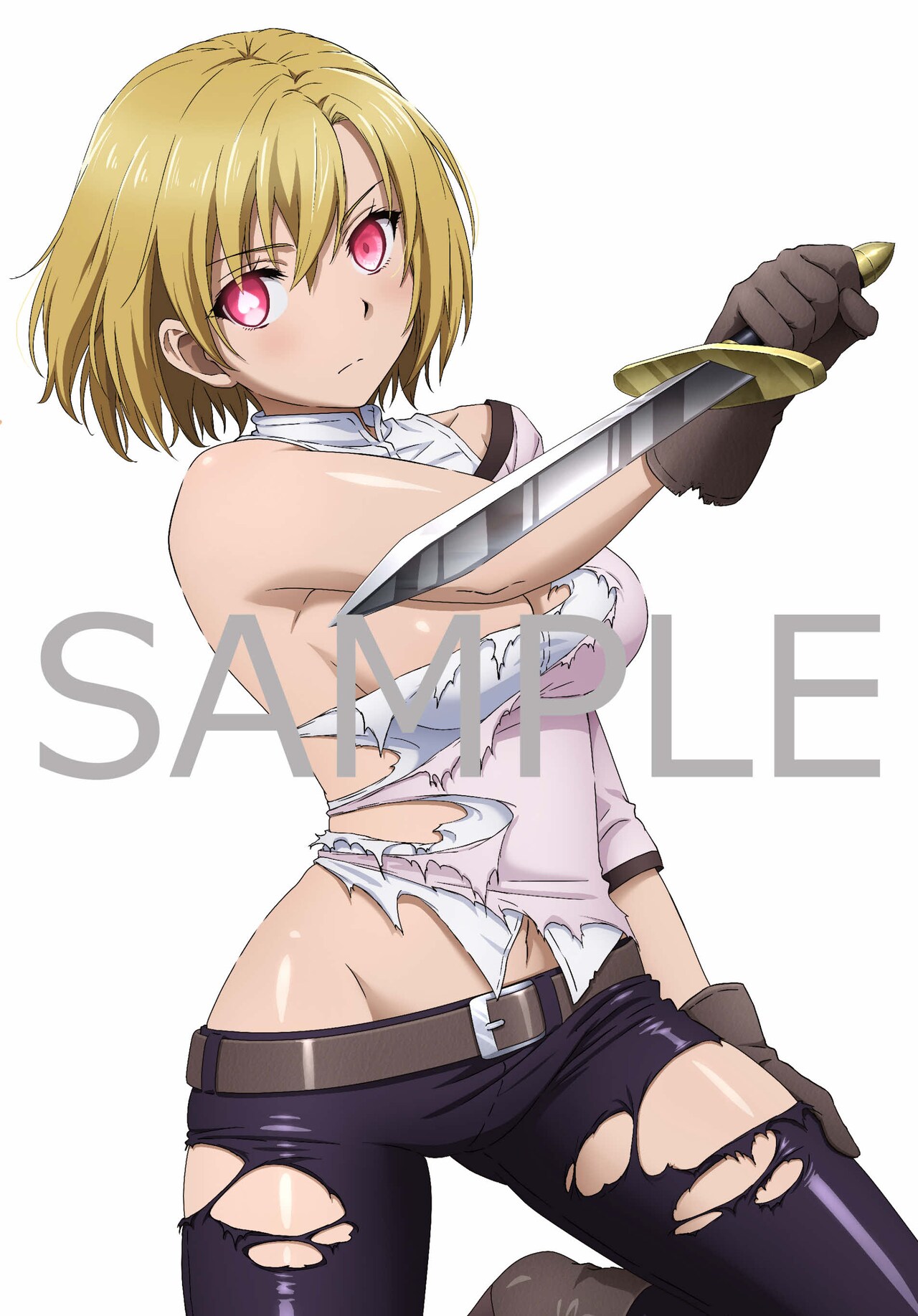ライザのアトリエ　B2タペストリー　アニメイト　店舗特典 アニメイトの店舗特典「描き下ろしB2タペストリー（サリー