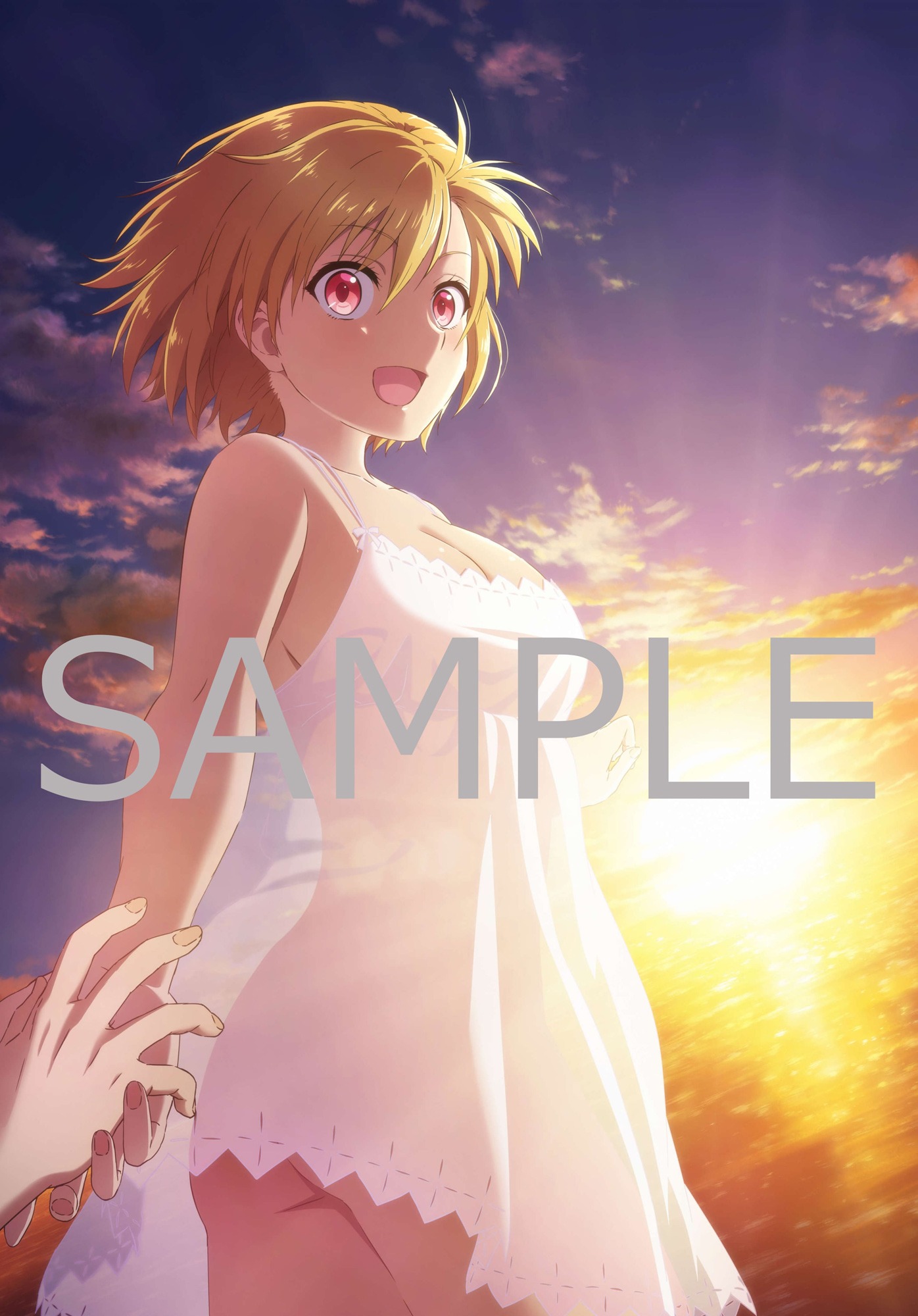 ソフマップ・アニメガの店舗特典「描き下ろしB1タペストリー（サリー）」。