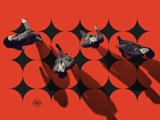 I Don't Like Mondays.