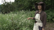 NHK Eテレ「こころの時代~宗教・人生~」より。(写真提供:NHK)