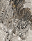 「ベルセルク」41巻は12月発売!岩永洋昭ら出演「キャスカの目覚め」ドラマCDも