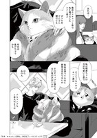 「ネオ・キャット」より。