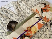 百葉堂の小紋百葉松縞（象牙に黒）、刺繍半襟十字繋ぎ。