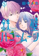 「鉄壁ハニームーン」5巻
