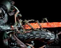 「髑髏の騎士2021」