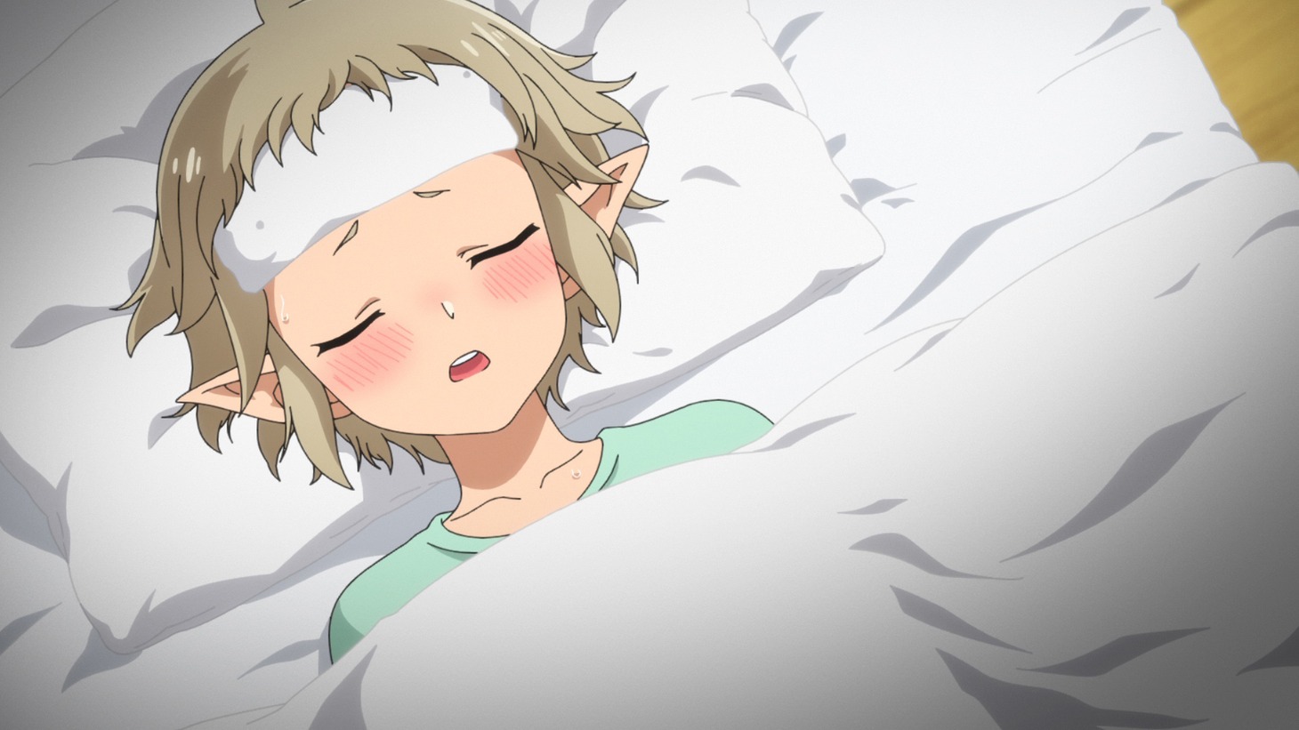 TVアニメ「真の仲間じゃないと勇者のパーティーを追い出されたので、辺境でスローライフすることにしました」第1話の場面カット。