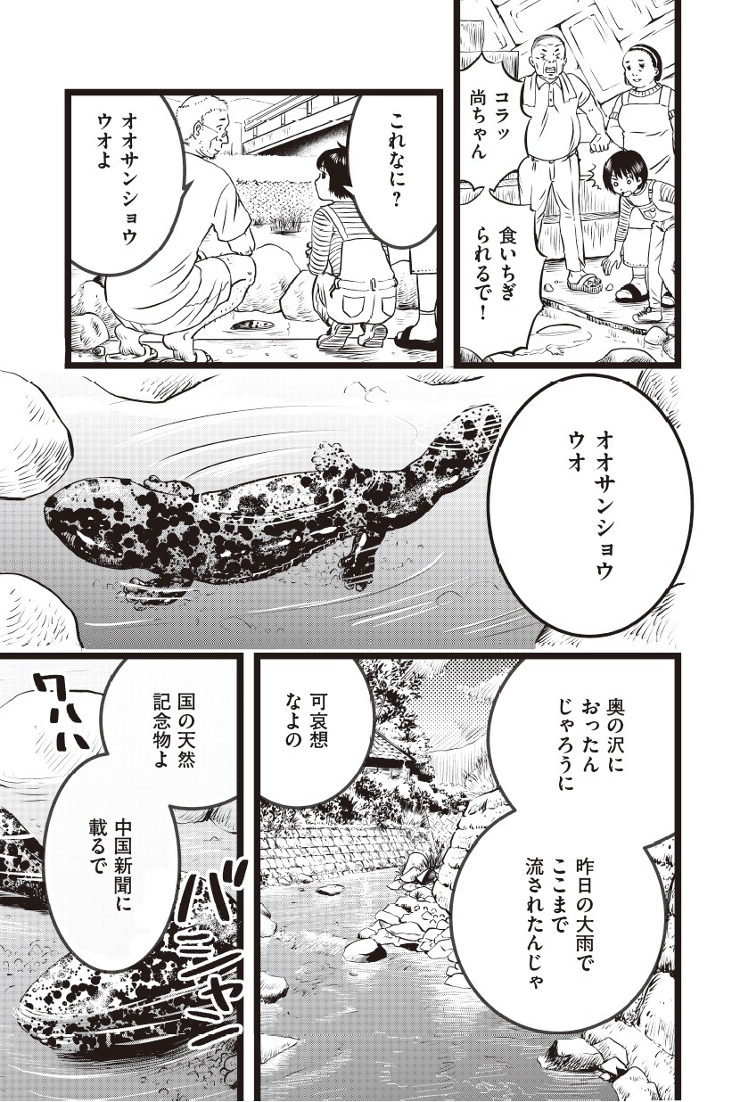 安永知澄「価値ある魚」
