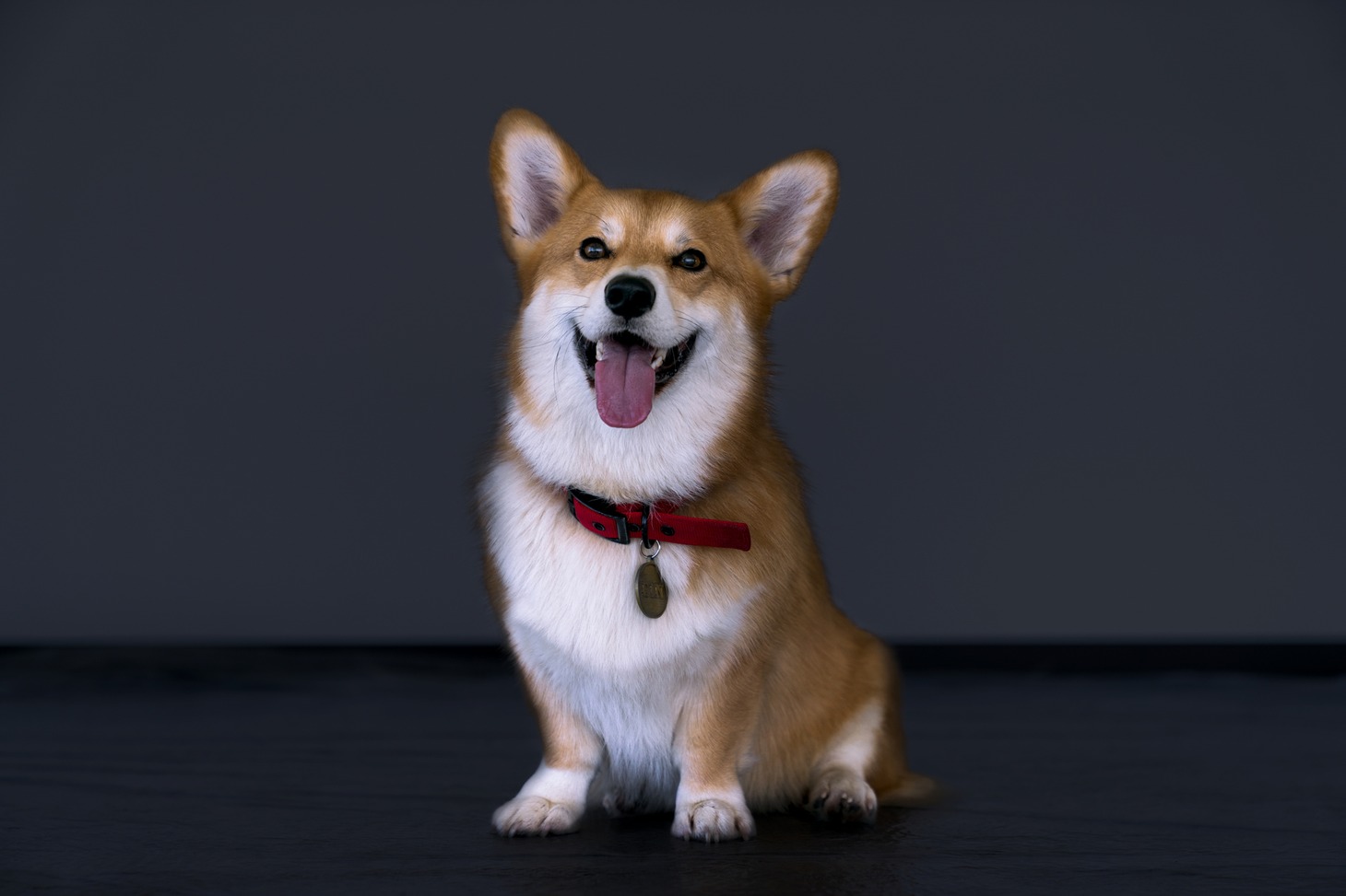 Netflix実写シリーズ「カウボーイビバップ」より。(c)GEOFFREY SHORT/NETFLIX