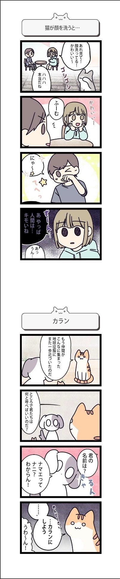 「地球の主人は猫にゃん」より。