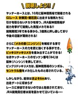 ヤッターホースの説明。(c)タツノコプロ